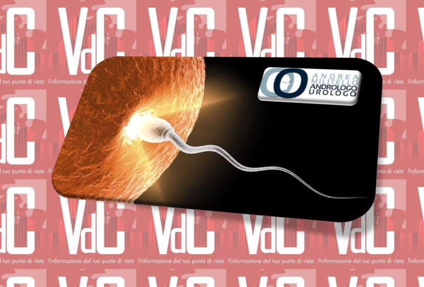 Ovulo e spermatozoo: svelato il mistero del concepimento?