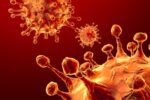 Acque contaminanate in alcune parti d’Italia, allarme Norovirus?