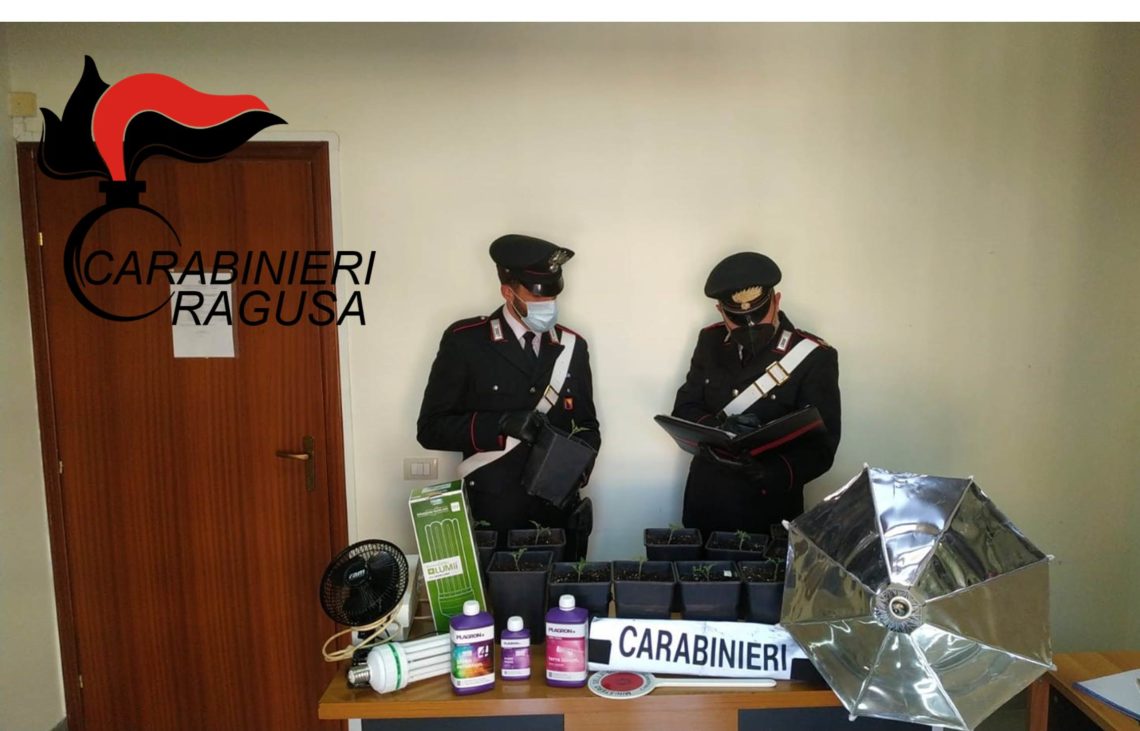 Vittoria: Carabinieri scoprono due serre di marijuana, un arresto