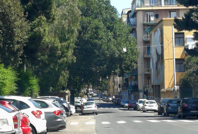 Il Presidente Ferrara sulla potatura alberi via Sassari nel III municipio di Catania