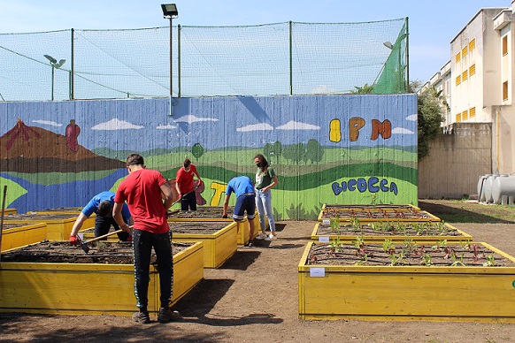 Servizi sociali: al via il progetto di cura di un orto per i minorenni di Bicocca