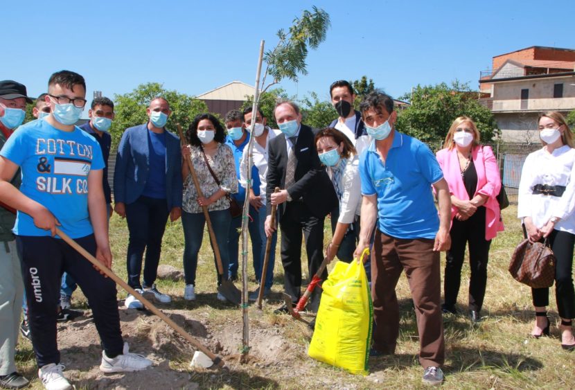 Iniziativa “mille alberi per Paternò” a cura dell’istituto “Francesco Redi”