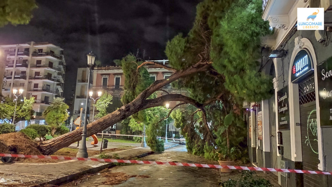 Alluvione a Catania, Zammataro (DB): “Governo nazionale deve riconoscere stato di calamità.”