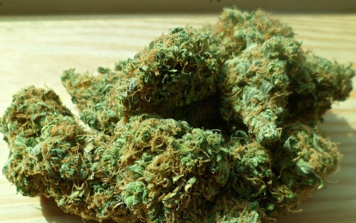 Acate: scoperta una piantagione di marijuana, arrestati due tedeschi