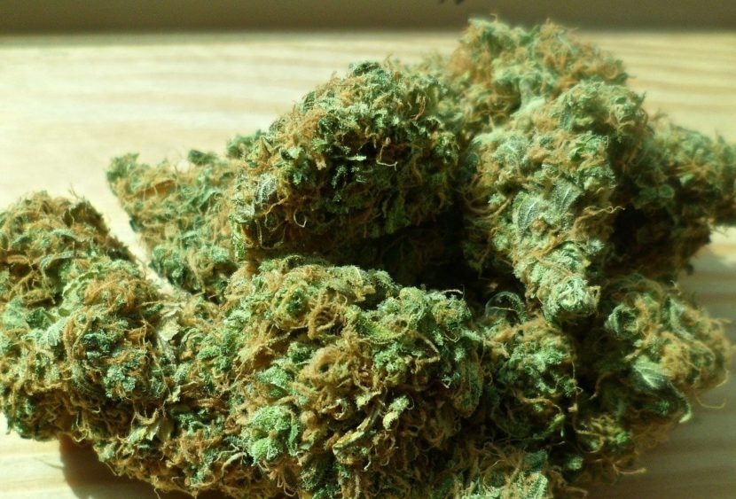 Piante marijuana in giardino e 4 kg droga in garage, arresti