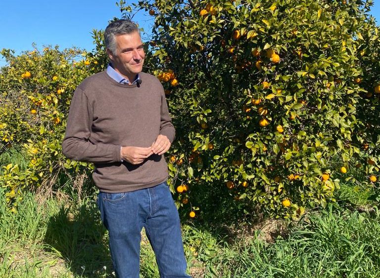 Furti di arance nel sud est siciliano, Diana (Consorzio Arancia Rossa Igp): “Situazione ai livelli di guardia: a rischio il reddito dei produttori”.