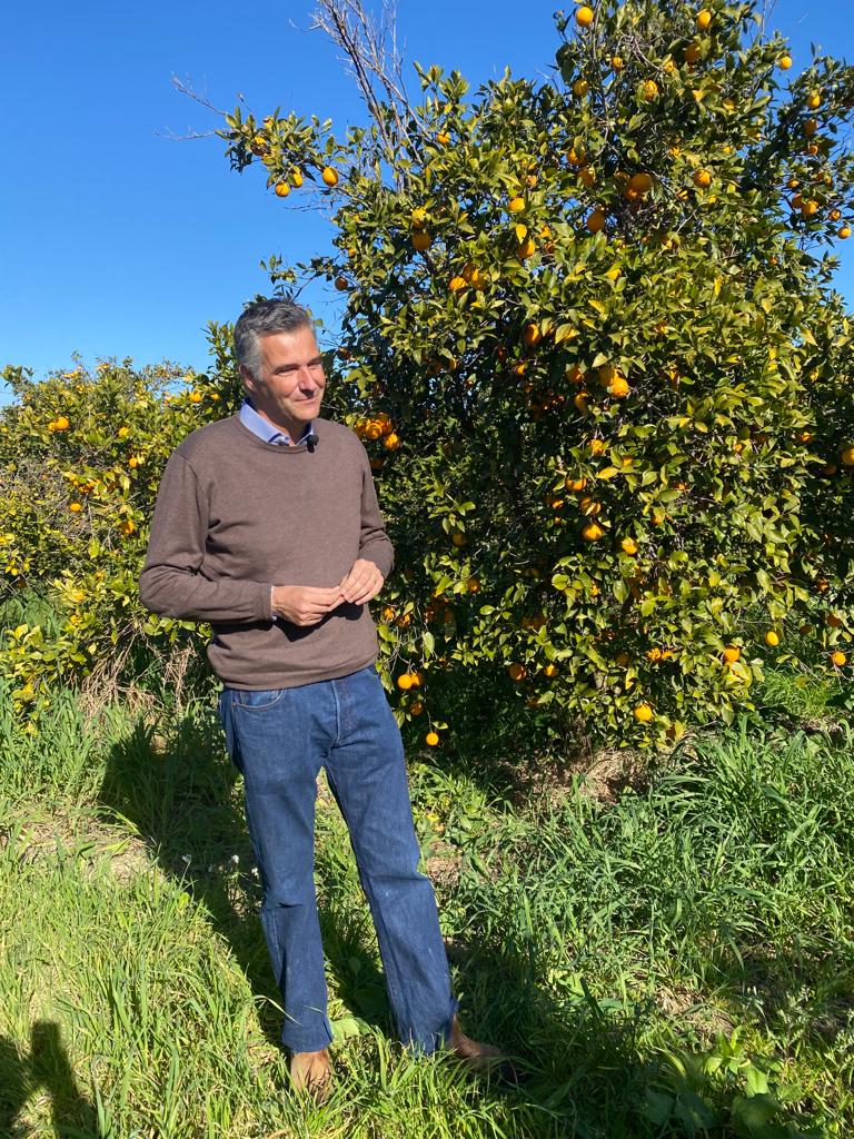 Furti di arance nel sud est siciliano, Diana (Consorzio Arancia Rossa Igp): “Situazione ai livelli di guardia: a rischio il reddito dei produttori”.