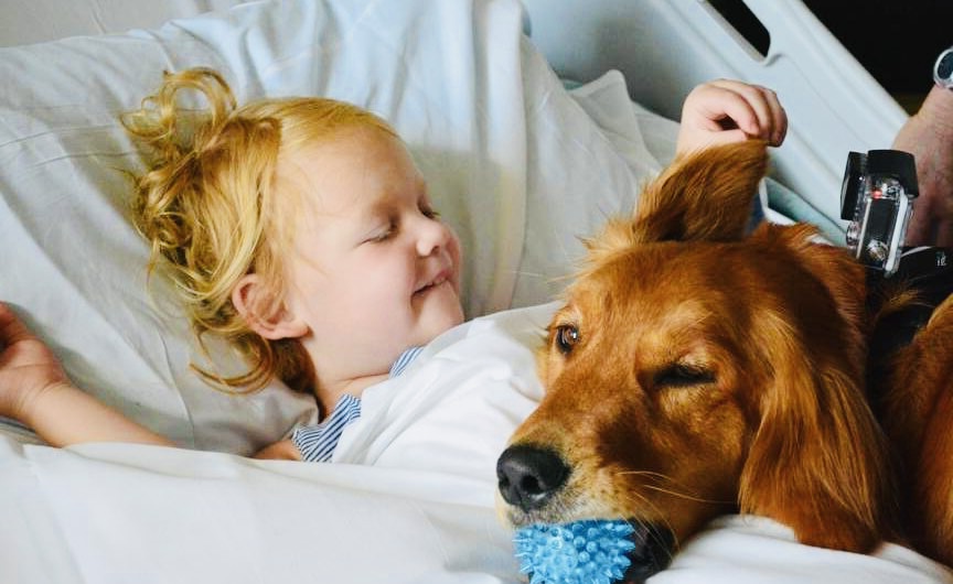 Riprende la Pet Therapy, tra nuove disposizioni e grandi piccoli miracoli