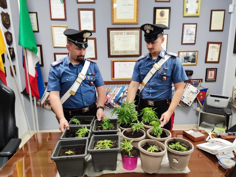 Villafranca Tirrena (ME): evade per coltivare piantine di marijuana sul terrazzo, arrestato dai Carabinieri