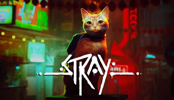 Stray, il videogioco in cui si potrà impersonare un gatto