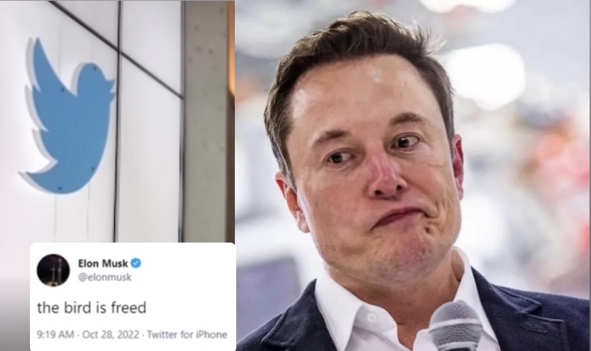 Elon Musk a capo di Twitter, licenziamenti e grandi cambiamenti per la piattaforma