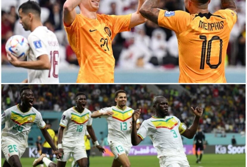 Qatar 2022, gruppo A: Olanda e Senegal agli ottavi, out Ecuador e Qatar