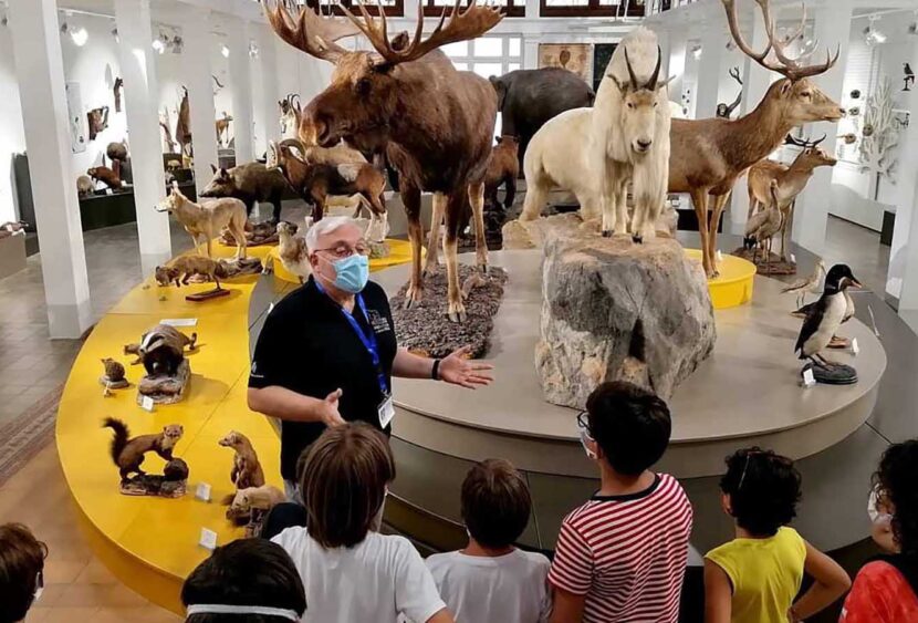 Unict: al Museo di Zoologia oltre 11mila visitatori nel 2022