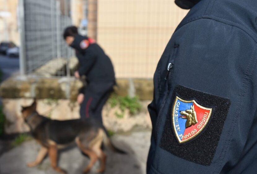 Torregrotta (ME): droga in casa, 53enne arrestato dai Carabinieri