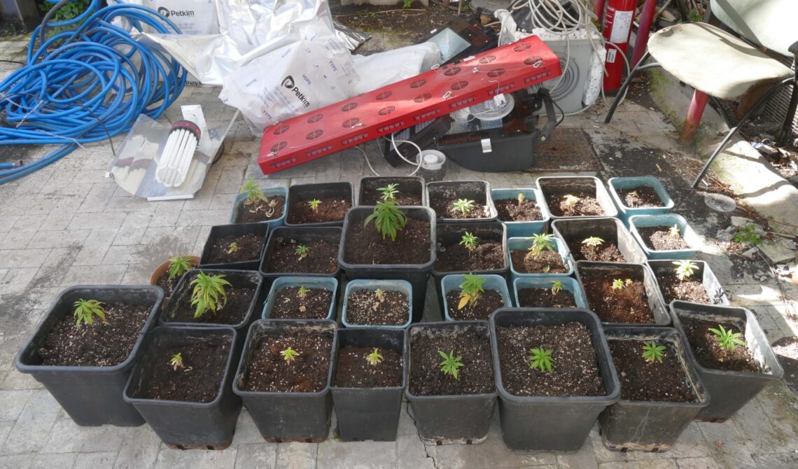 Acireale: scovata coltivazione di cannabis indica in una casa in disuso, in corso le indagini