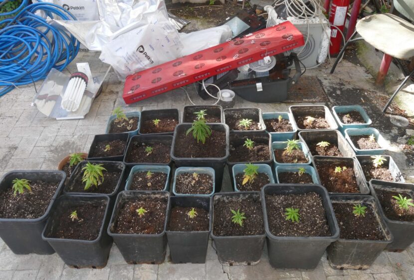 Acireale: scovata coltivazione di cannabis indica in una casa in disuso, in corso le indagini