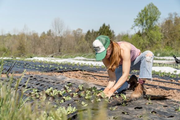 Aziende agricole, è boom di giovani imprenditori: i dati del rapporto Coldiretti