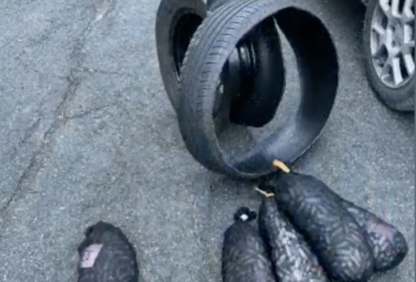 Traforo del Frejus: carico di stupefacente nascosto negli pneumatici, un arresto per traffico internazionale di droga