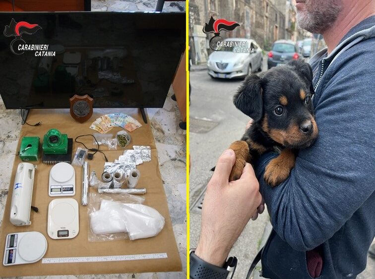 Catania. Il cucciolo “Dante” a difesa del fortino della droga. 5 soggetti arrestati dai Carabinieri