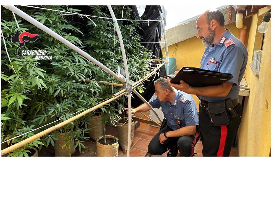 Rocca di Capri Leone (ME): ​coltiva una piantagione di marijuana nel solaio di casa, arrestato un uomo 
