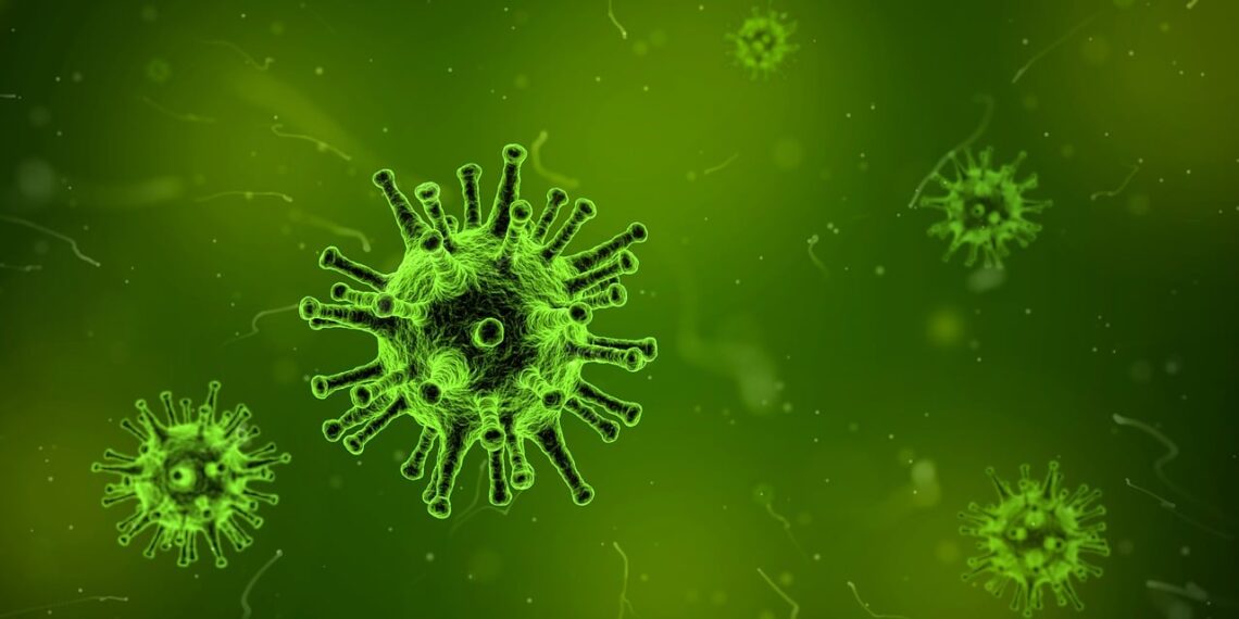 Nuova pandemia in arrivo? Le previsioni di Ilaria Capua sulla Malattia X