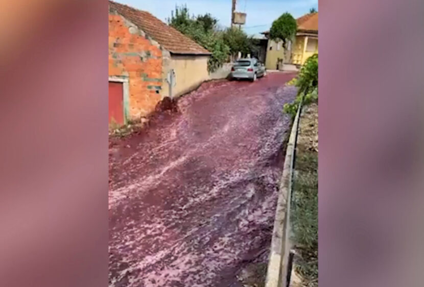 Portogallo, un fiume di vino inonda le strade