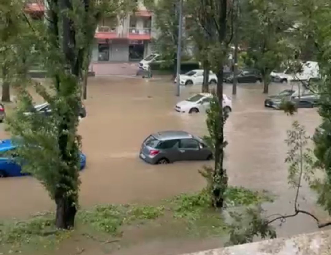Bomba d’acqua a Milano, Seveso esondato e alberi sradicati