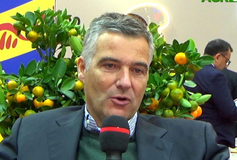 Agrumicoltura, Gerardo Diana (Consorzio Arancia Rossa): “Invitiamo i discount a valorizzare le rosse di Sicilia IGP”